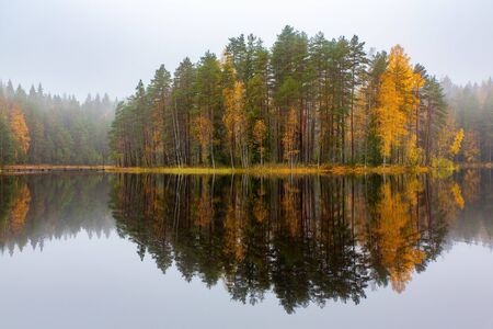 Colorful forest in Finland with mirror image in lake during autumnの写真素材