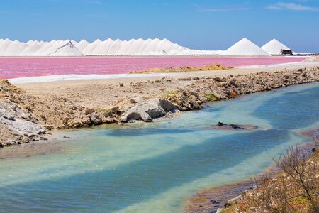 Landscape with pink salt lake and salt mountains on island Bonaireの写真素材