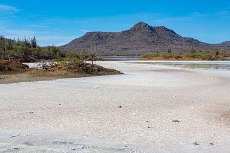 Salt field landscape with mountains on island Bonaireの写真素材