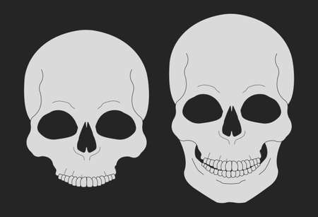 Skull chalk vector clip art illustrations isolated on blackboardのイラスト素材