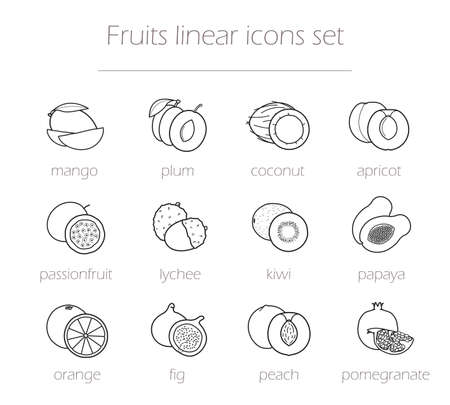 Fruits linear icons set. Realistic natural sliced fruits line art illustrations with signs. Vector outline drawing symbols isolated on whiteのイラスト素材