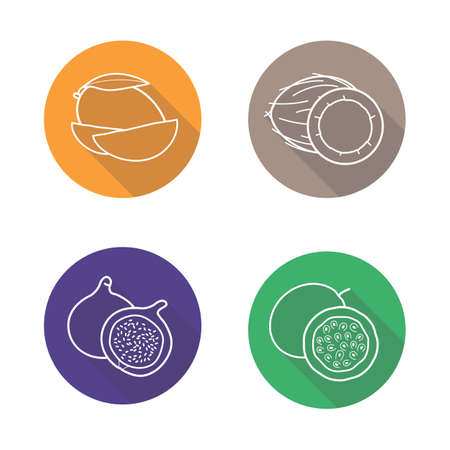 Tropical fruits flat linear long shadow icons set. Mango slice, coconut half, fig and passion fruit  symbols. Outline logo concepts. Vector line art illustrationsのイラスト素材