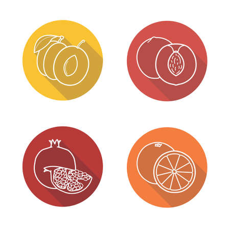 Tropical fruits flat linear long shadow icons set. Plum, peach, orange and pomegranate sliced symbols. Outline logo concepts. Vector line art illustrationsのイラスト素材