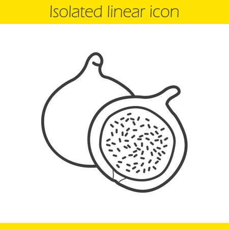 Fig linear icon. Thin line illustration. Common fig fruit contour symbol. Vector isolated outline drawingのイラスト素材