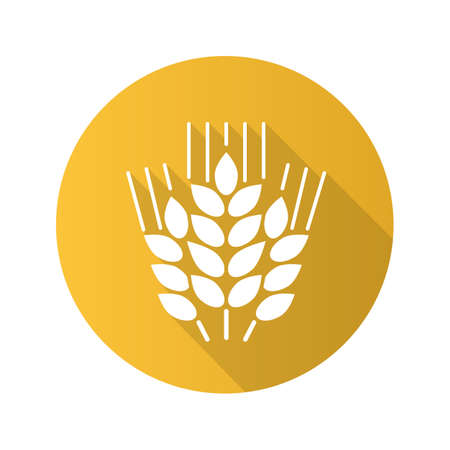 Wheat ears flat design long shadow icon. Spikes of rye. Barley. Vector silhouette symbolのイラスト素材