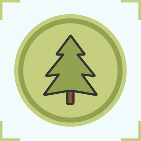Fir tree color icon. Forest sign. Isolated vector illustrationのイラスト素材