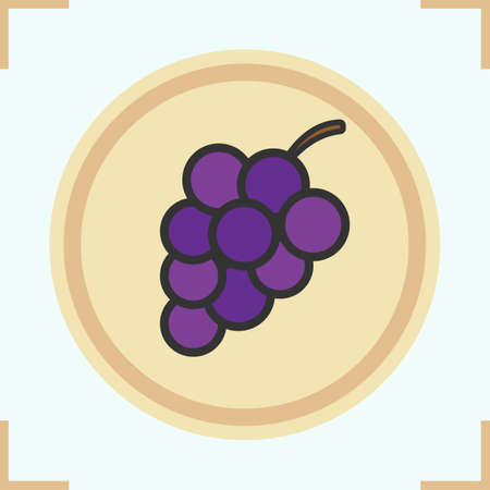 Bunch of grapes color icon. Isolated vector illustrationのイラスト素材