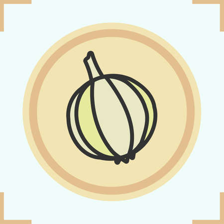 Garlic color icon. Isolated vector illustrationのイラスト素材