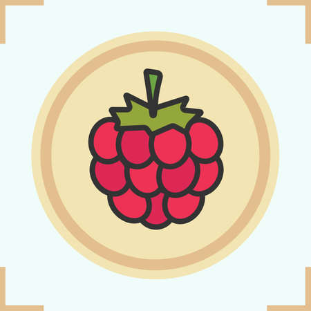 Raspberry color icon. Isolated vector illustrationのイラスト素材