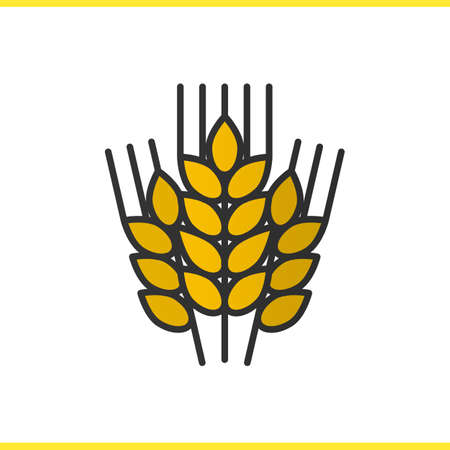 Wheat ears color icon. Barley. Spikes of rye. Isolated vector illustrationのイラスト素材