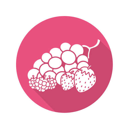 Berries flat design long shadow icon. Bunch of grapes, raspberry, strawberry. Vector silhouette symbolのイラスト素材