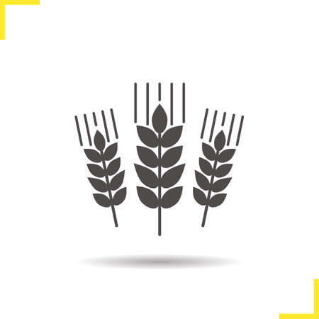 Wheat ears icon. Drop shadow barley silhouette symbol. Spikes of rye. Negative space. Vector isolated illustrationのイラスト素材