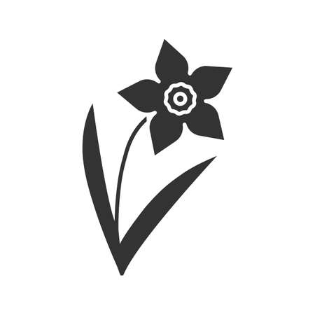 Daffodil glyph icon. Silhouette symbol. Narcissus. Negative space. Vector isolated illustrationのイラスト素材