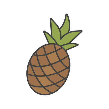 Pineapple color icon. Isolated vector illustrationのイラスト素材