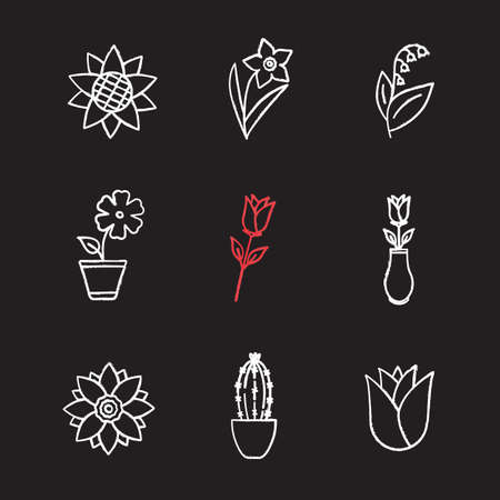 Flowers chalk icons set. Sunflower head, daffodil, may-lily, hibiscus, roses, lotus, cactus, rosebud. Isolated vector chalkboard illustrationsのイラスト素材