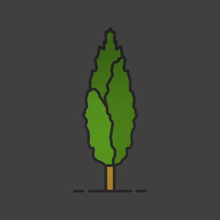 Poplar tree color icon. Forestry. Forest tree. Isolated vector illustrationのイラスト素材