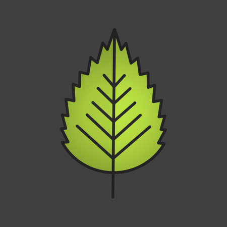 Birch leaf color icon. Forest tree leaf. Isolated vector illustrationのイラスト素材
