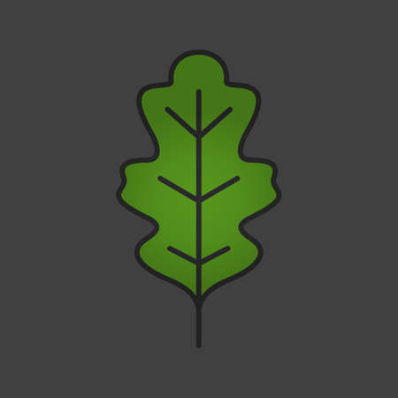 Oak leaf color icon. Isolated vector illustrationのイラスト素材