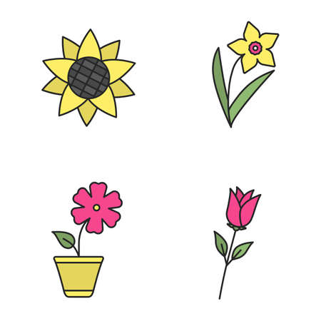 Flowers color icons set. Sunflower head, narcissus, hibiscus, rose. Isolated vector illustrationsのイラスト素材