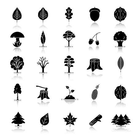 Tree types drop shadow black glyph icons set. Forest, park. Forestry. Isolated vector illustrationsのイラスト素材