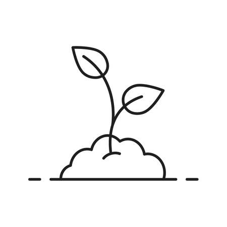 Growing sprout linear icon. Thin line illustration Vector isolated outline drawingのイラスト素材