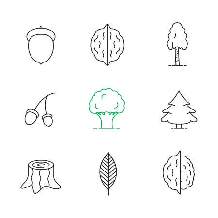 Forestry linear icons set. Acorns, walnut leaf, hazelnuts, birch, oak, fir trees, stump. Thin line contour symbols. Isolated vector outline illustrationsのイラスト素材