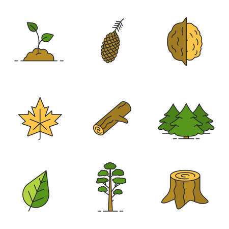 Forestry color icons set. Growing sprout, pine cone and tree, opened walnut, maple leaf, firewood, fir forest, stump. Isolated vector illustrationsのイラスト素材