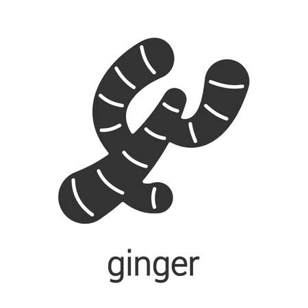 Ginger root glyph icon. Silhouette symbol. Flavoring, seasoning. Negative space. Vector isolated illustrationのイラスト素材