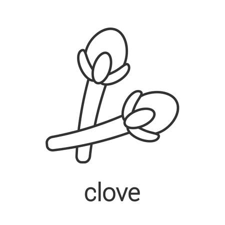 Clove linear icon. Thin line illustration. Carnation. Contour symbol. Vector isolated outline drawingのイラスト素材