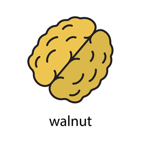 Walnut color iconのイラスト素材