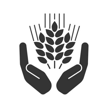 Open palms with wheat ears glyph iconのイラスト素材