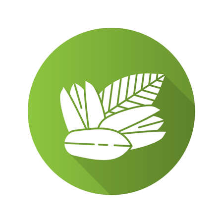 Pistachio flat design iconのイラスト素材
