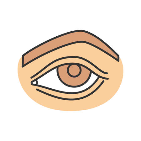 Woman's eye color icon. Isolated vector illustrationのイラスト素材