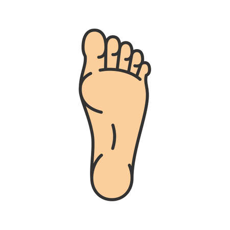 Foot color icon. Isolated vector illustrationのイラスト素材