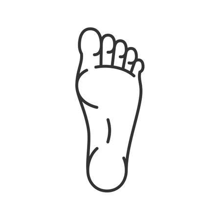 Foot linear icon. Thin line illustration.のイラスト素材