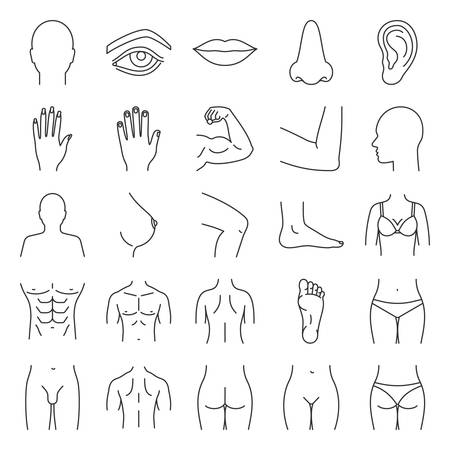 Human body parts linear icons set. Anatomy. Health care. Thin line contour symbols. Isolated vector outline illustrationsのイラスト素材