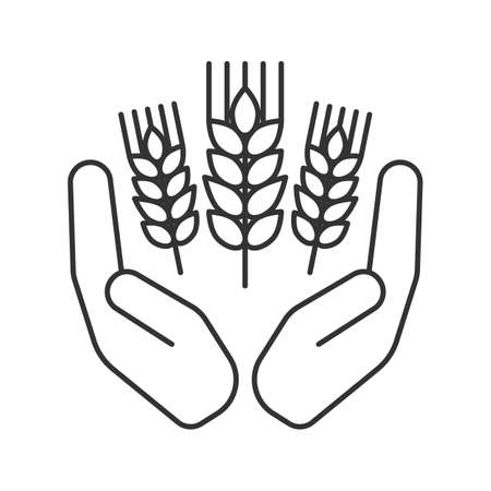 Open palms with wheat ears linear icon. Farming. Agriculture. Thin line illustration.のイラスト素材