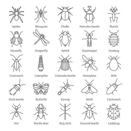 Insects linear icons set of  Bugs. Entomologist collection with Thin line contour symbols.のイラスト素材