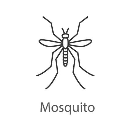 Mosquito linear icon Vector isolated outline drawingのイラスト素材