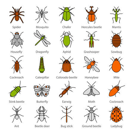 Insects color icons set. Bugs. Entomologist collection. Butterfly, earwig, stag bug, phasmid, moth, ant, mantis, spider. Isolated vector illustrationsのイラスト素材