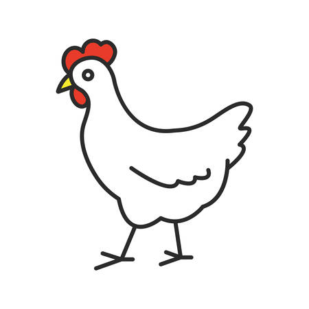 Chicken color icon. Poultry farm. Isolated vector illustration.のイラスト素材