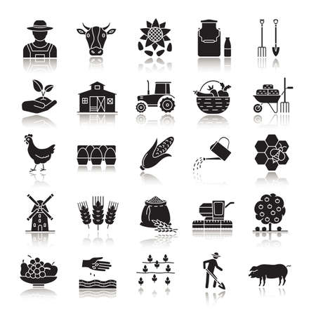 Agriculture drop shadow black glyph icons set. Farming. Agricultural implement. Isolated vector illustrationsのイラスト素材