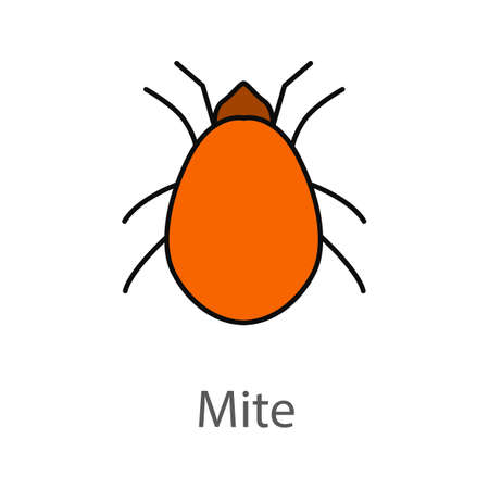 Mite color icon. Acari, isolated vector illustration.のイラスト素材