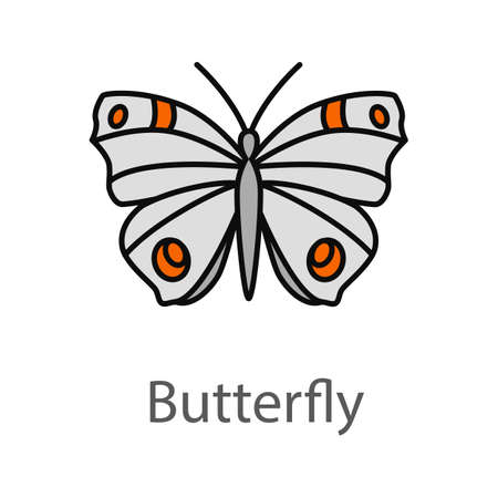 Butterfly color icon. Insect. Moth. Isolated vector illustrationのイラスト素材