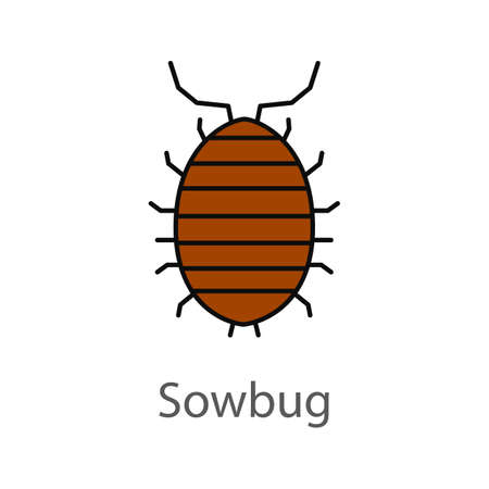 Woodlouse color icon. Roll up bug. Sowbug. Isolated vector illustrationのイラスト素材