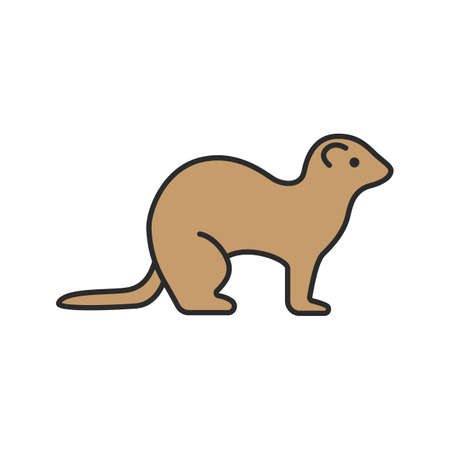 Ferret color icon. Polecat. Isolated vector illustrationのイラスト素材