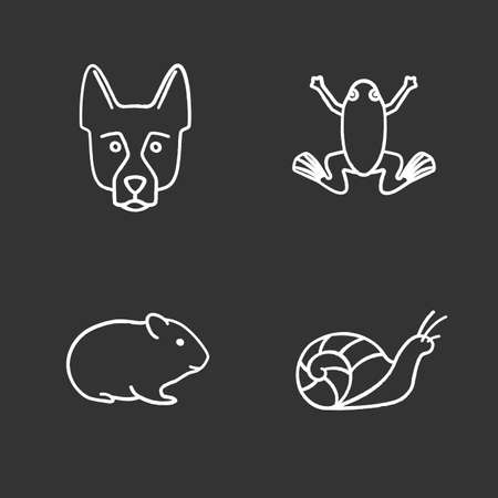 Pets chalk icons set. German Shepherd, frog, hamster, snail. Isolated vector chalkboard illustrationsのイラスト素材