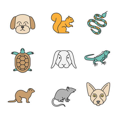 Pets color icons set. Maltese dog, squirrel, python, tortoise, rabbit, iguana, ferret, mouse,...