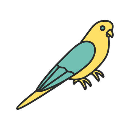 Budgerigar color icon. Common parakeet. Parrot. Isolated vector illustrationのイラスト素材
