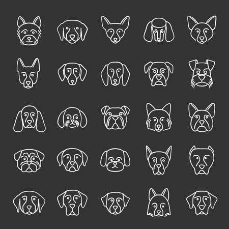 Dogs breeds chalk icons set. Guide, guardian, hunting, herding dogs. Isolated vector chalkboard illustrationsのイラスト素材